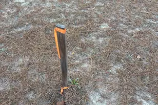 420 Old Wire Rd, West Columbia, SC 29172 - Photo 4