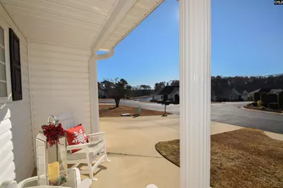 21 Southwoode Circle, Chapin, SC 29036 - Photo 46