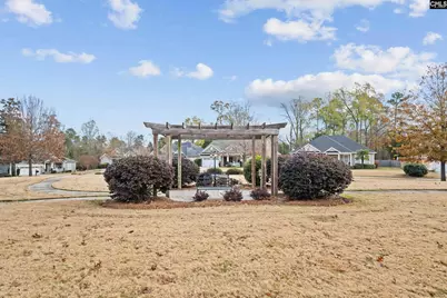 343 Night Harbor Drive, Chapin, SC 29036 - Photo 34