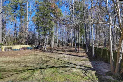 217 Underwood Court, Lexington, SC 29072 - Photo 46
