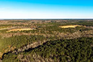 00 Indigo Branch Trail, Saint Matthews, SC 29135 - Photo 4