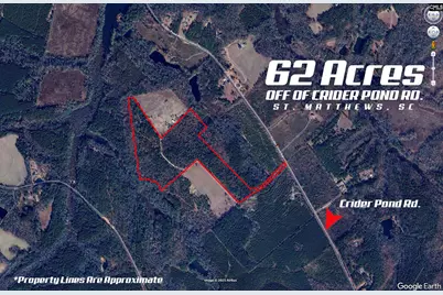 00 Indigo Branch Trail, Saint Matthews, SC 29135 - Photo 2