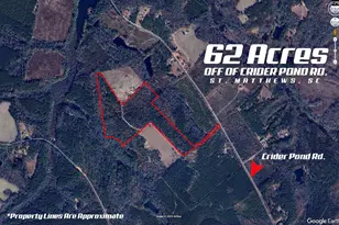 00 Indigo Branch Trail, Saint Matthews, SC 29135 - Photo 2