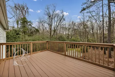 520 Menauhant Court, Lexington, SC 29072 - Photo 32