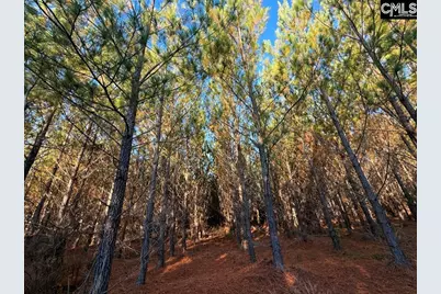 Kestrel Drive, Leesville, SC 29072 - Photo 4