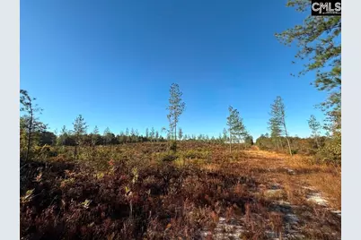 Kestrel Drive, Leesville, SC 29072 - Photo 6