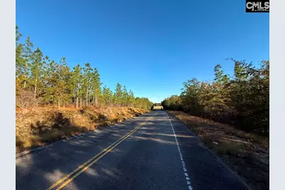Kestrel Drive, Leesville, SC 29072 - Photo 2