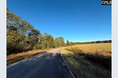 Kestrel Drive, Leesville, SC 29072 - Photo 8