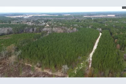 Kestrel Drive, Leesville, SC 29072 - Photo 12