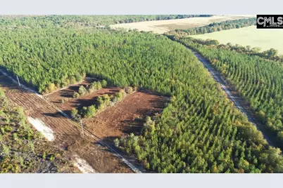 Kestrel Drive, Leesville, SC 29072 - Photo 4