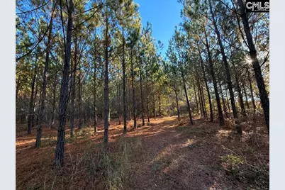 Kestrel Drive, Leesville, SC 29072 - Photo 10