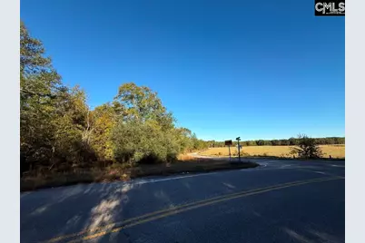 Kestrel Drive, Leesville, SC 29072 - Photo 8