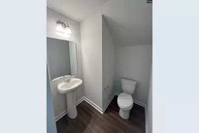 811 Coburg Lane, Lexington, SC 29073 - Photo 4