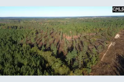 Kestrel Drive, Leesville, SC 29072 - Photo 8