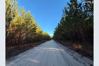 Kestrel Drive, Leesville, SC 29070 - Photo 1