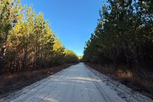 Kestrel Dr, Leesville, SC 29070 - Photo 1