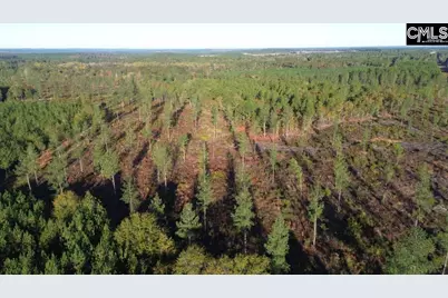 Kestrel Drive, Leesville, SC 29070 - Photo 8