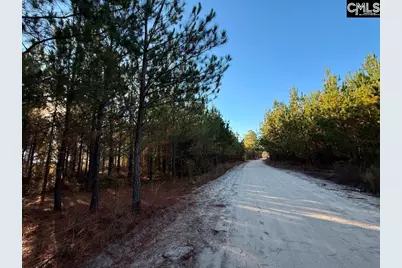 Kestrel Drive, Leesville, SC 29070 - Photo 4