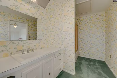 517 Hickory Circle, Leesville, SC 29070 - Photo 36
