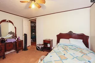 118 Frandeena's Ct, Prosperity, SC 29127 - Photo 30