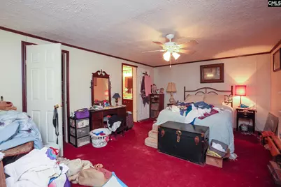 118 Frandeenas Court, Prosperity, SC 29127 - Photo 32