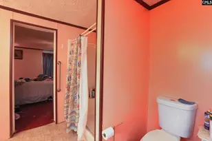 118 Frandeena's Ct, Prosperity, SC 29127 - Photo 18