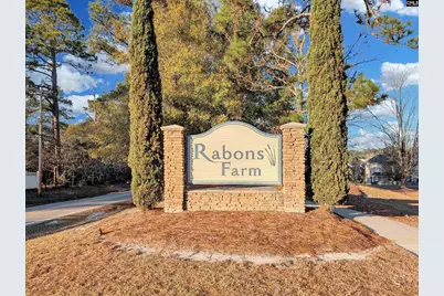 1253 Rabon Pond Drive, Columbia, SC 29223 - Photo 2
