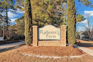 1253 Rabon Pond Dr, Columbia, SC 29223 - Photo 2