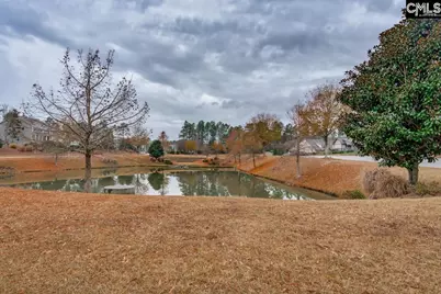 822 Ruskin Drive, Chapin, SC 29036 - Photo 42