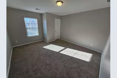 46 Texas Black Way, Elgin, SC 29045 - Photo 26