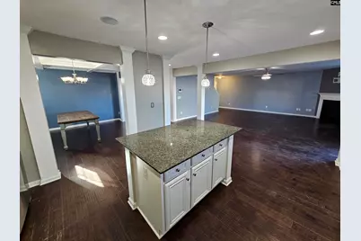 46 Texas Black Way, Elgin, SC 29045 - Photo 10