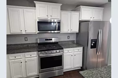 46 Texas Black Way, Elgin, SC 29045 - Photo 8