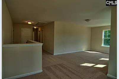 1192 Portrait Hill Drive, Chapin, SC 29036 - Photo 18