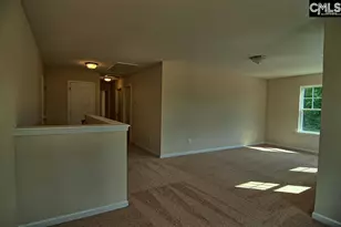 1192 Portrait Hill Dr, Chapin, SC 29036 - Photo 18