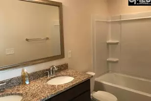 1192 Portrait Hill Dr, Chapin, SC 29036 - Photo 12