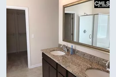 1192 Portrait Hill Drive, Chapin, SC 29036 - Photo 20