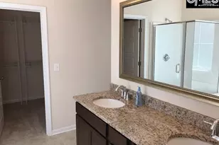 1192 Portrait Hill Dr, Chapin, SC 29036 - Photo 20