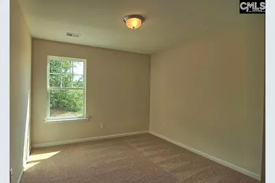 1192 Portrait Hill Drive, Chapin, SC 29036 - Photo 4