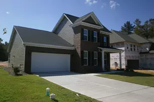 1192 Portrait Hill Dr, Chapin, SC 29036 - Photo 10
