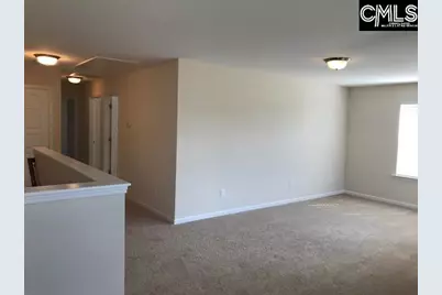 1192 Portrait Hill Drive, Chapin, SC 29036 - Photo 6
