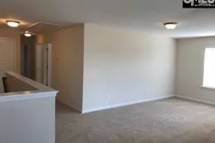 1192 Portrait Hill Dr, Chapin, SC 29036 - Photo 6