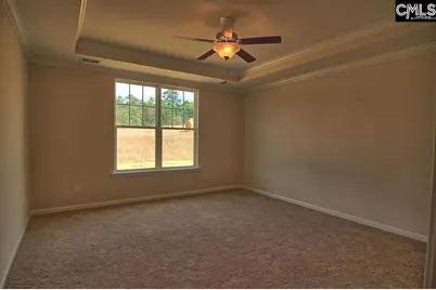 1192 Portrait Hill Drive, Chapin, SC 29036 - Photo 24