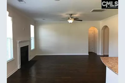 1192 Portrait Hill Drive, Chapin, SC 29036 - Photo 8