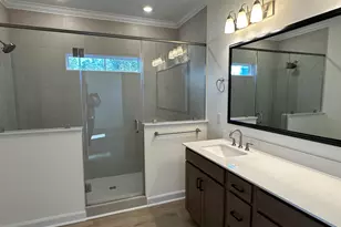 342 Rising Stream Way, Chapin, SC 29036 - Photo 12