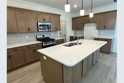 342 Rising Stream Way, Chapin, SC 29036 - Photo 4