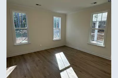 342 Rising Stream Way, Chapin, SC 29036 - Photo 10