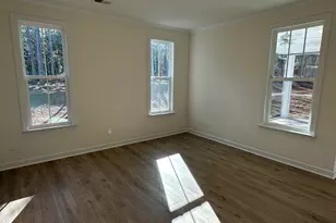 342 Rising Stream Way, Chapin, SC 29036 - Photo 10