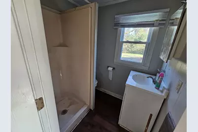 401 George Street, Lexington, SC 29072 - Photo 10