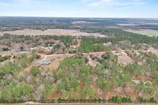 278 Megill Dr, Pelion, SC 29123 - Photo 38