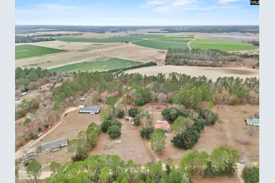 278 Megill Drive, Pelion, SC 29123 - Photo 38